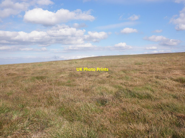 Photo 6"x4" Moorland, above Langcombe Head Codsend c2011