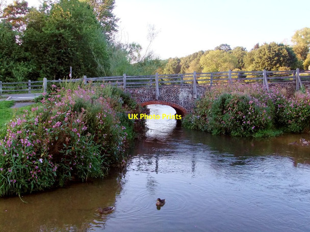 Photo 6"x4" The Packhorse Bridge at Tilford, southern end Tilford c2011