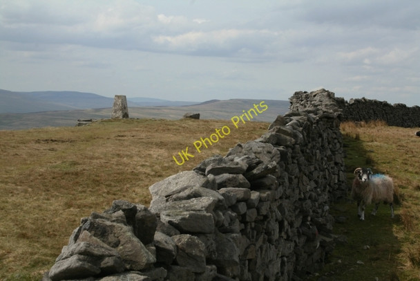 Photo 6"x4" Trig Point at Capplestone Gate Conistone c2008