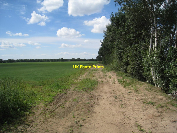 Photo 6"x4" The footpath to Thorney Broadholme\/SK8974 c2011