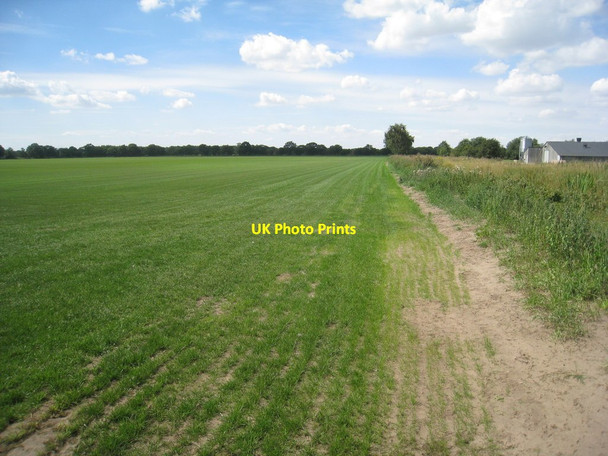 Photo 6"x4" The footpath to Thorney Thorney\/SK8572 c2011