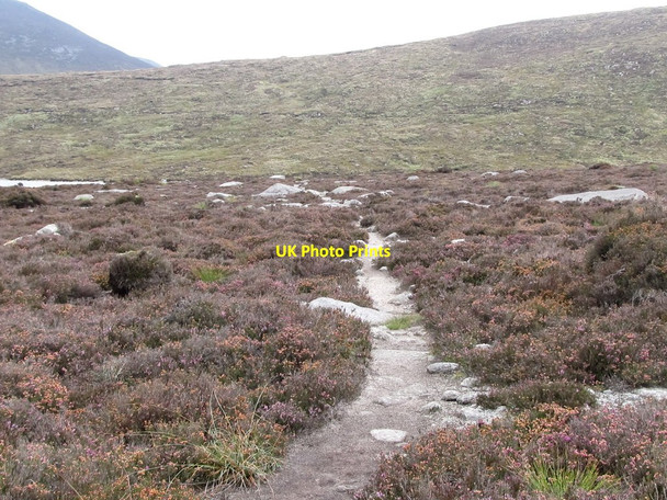 Photo 6"x4" The final section of the Banns Road Attical c2011