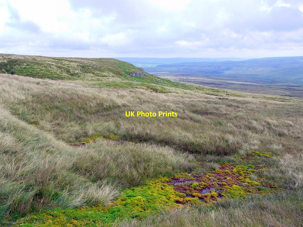 Photo 6"x4" Marsh south-east of Meldon Hill Dufton Fell c2011