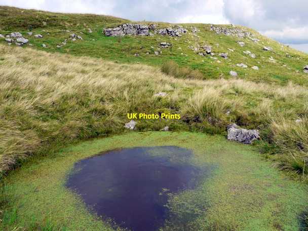 Photo 6"x4" Shake hole pond below Meldon Hill Dufton Fell c2011