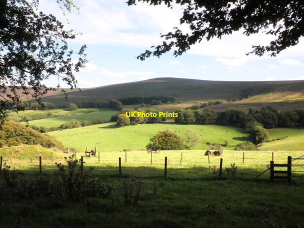 Photo 6"x4" View across Sweetworthy Combe, to Dunkery Hill Codsend c2011