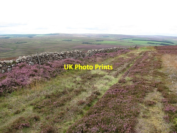 Photo 6"x4" Dyke, Dirrington Great Law Longformacus c2011