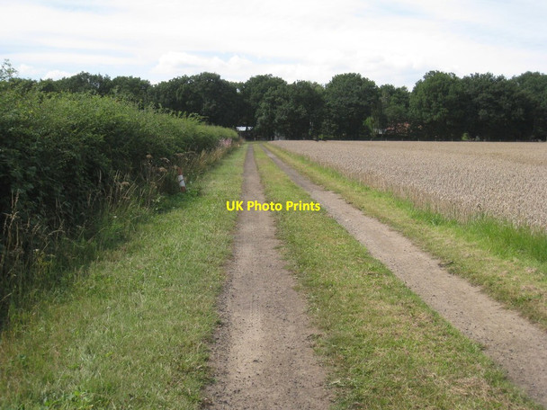 Photo 6"x4" Farm track to Thorney Brown Wood Thorney\/SK8572 c2011