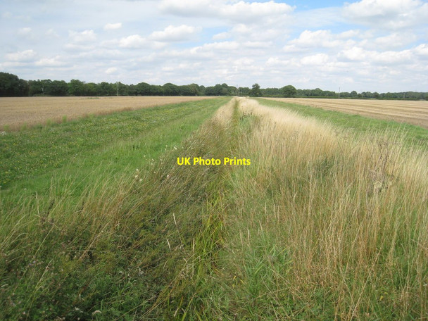 Photo 6"x4" Drain near Thorney Thorney\/SK8572 c2011
