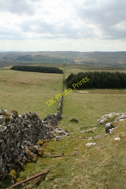 Photo 6"x4" Dry Stone Wall and Small Plantations at New Close Allotments Conistone c2008