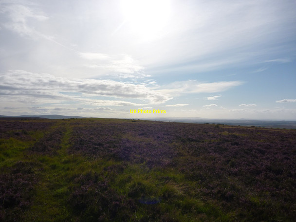 Photo 6"x4" East Lothian Landscape : On Deuchrie Edge Deuchrie Edge c2011