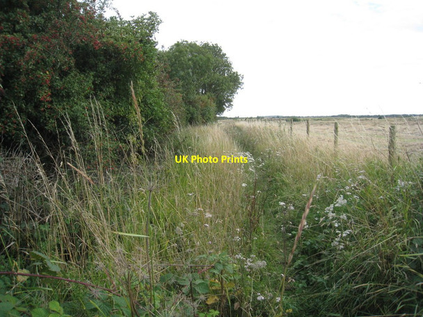 Photo 6"x4" Footpath to Langford Collingham\/SK8361 c2011