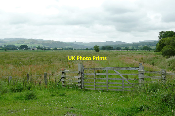 Photo 6"x4" Rough grazing by Cors Caron, Ceredigion Swyddffynnon c2011