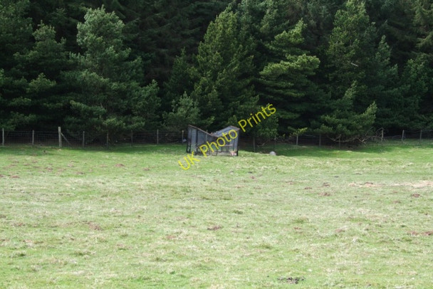 Photo 6"x4" Larsen Trap at New Close Allotments. Conistone c2008