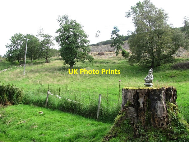 Photo 6"x4" Felled area Ardtalnaig c2011