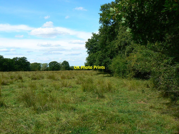 Photo 6"x4" Field east of Minety Lower Moor\/SU0291 c2011