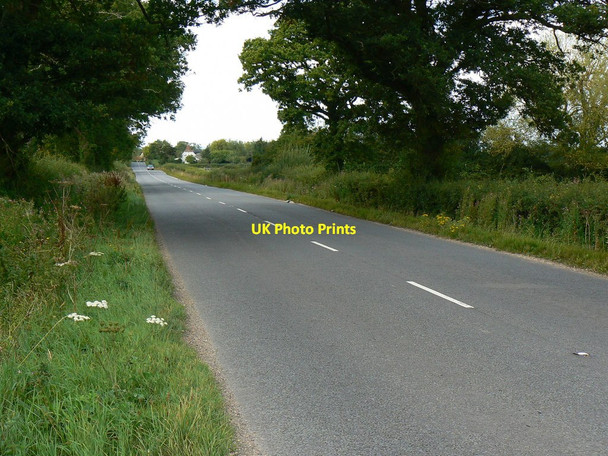 Photo 6"x4" North along the B4696 near Leigh Hillside\/SU0692 c2011