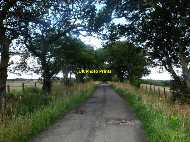 Photo 6"x4" Threaprig, road to Jawcraig Slamannan c2011