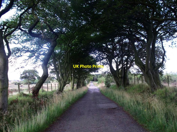 Photo 6"x4" Threaprig to Jawcraig road [2] Slamannan c2011