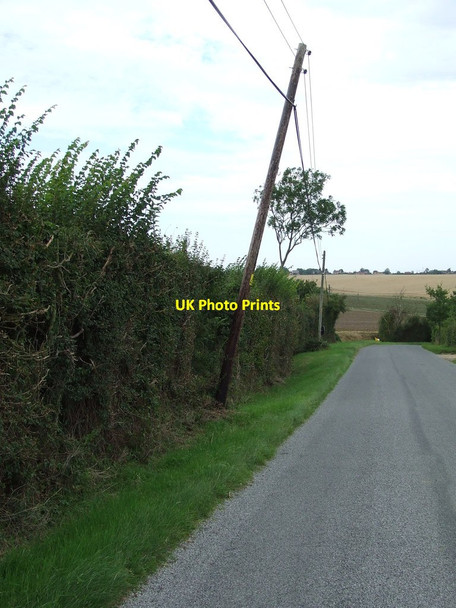 Photo 6"x4" The Leaning Pole Of Ringshall Ringshall\/TM0452 c2011