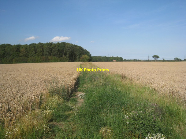 Photo 6"x4" The bridleway to Habrough Brocklesby c2011
