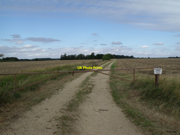 Photo 6"x4" Track to Ash Holt Ewerby Thorpe c2011