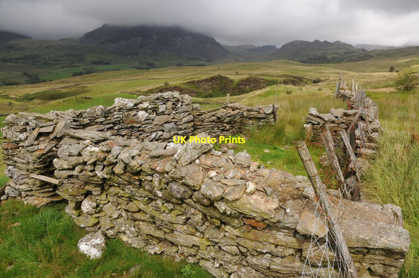 Photo 6"x4" Sheep fold beside the B4391 Llan Ffestiniog c2011