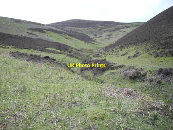 Photo 6"x4" Scald Law and the Grain Burn Silverburn\/NT2060 c2011