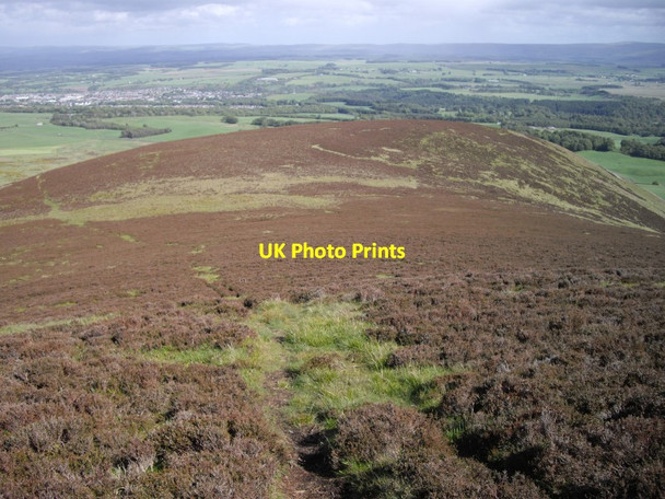 Photo 6"x4" Grain Hill Silverburn\/NT2060 c2011