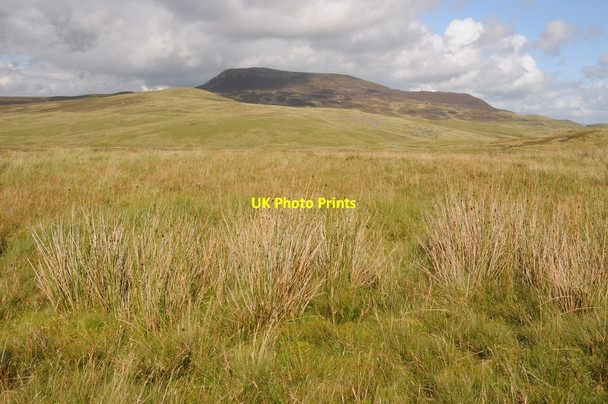 Photo 6"x4" View to Arenig Fach Bryniau Poethion c2011
