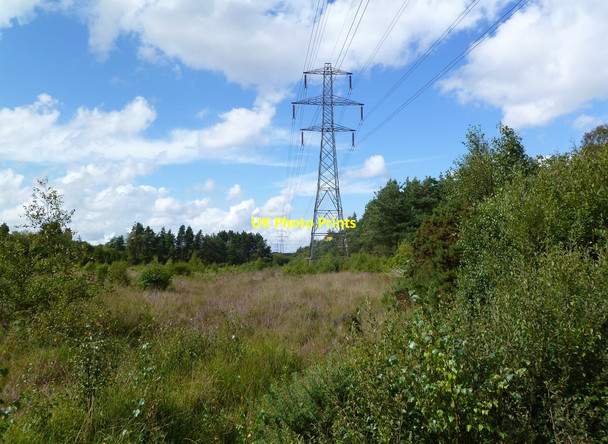 Photo 6"x4" Week, power lines Avon\/SZ1498 c2011
