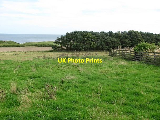 Photo 6"x4" Field, Dunstan Steads Embleton\/NU2322 c2011