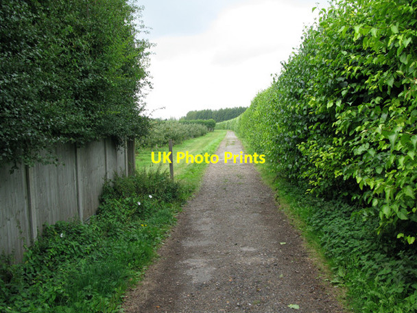 Photo 6"x4" Bridleway and farm track through orchards Sandwich c2011