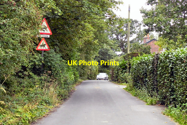 Photo 6"x4" Blossoms Lane, Woodford Bramhall c2011