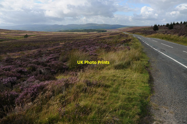 Photo 6"x4" View over Cwm Sian Llwyd Bryniau Gleision\/SJ0032 c2011