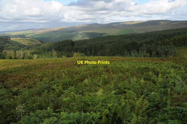 Photo 6"x4" View over Cwm Pennant Pont Cwm Pydew c2011