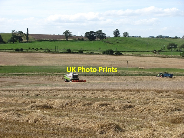 Photo 6"x4" Harvest near Lesbury Hawkhill\/NU2212 c2011
