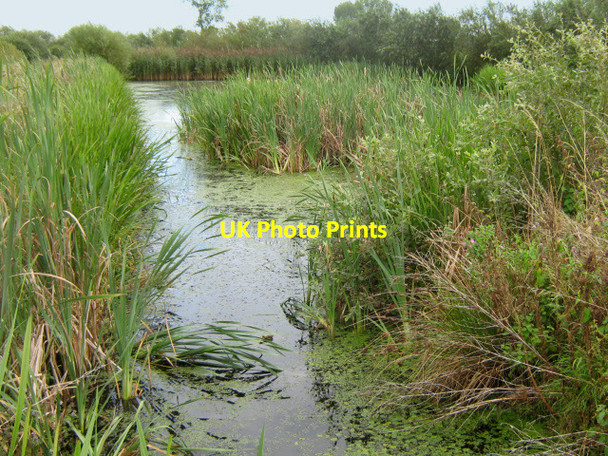 Photo 6"x4" Greylake RSPB nature reserve Greylake c2011