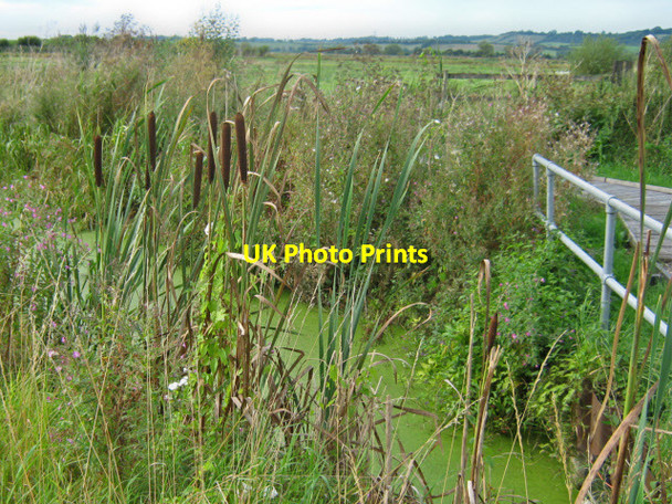 Photo 6"x4" Greylake RSPB nature reserve Greylake c2011 P1