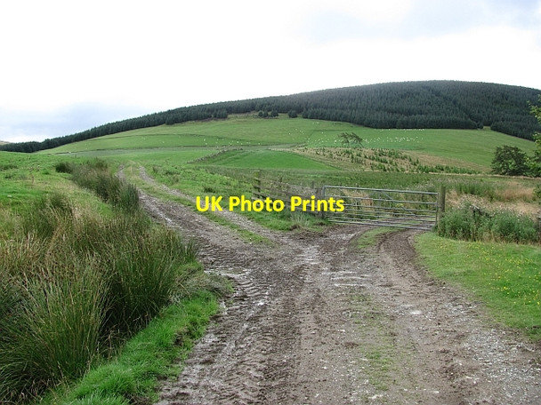 Photo 6"x4" Track junction Rachan Mill c2011