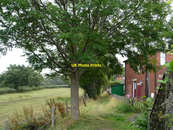 Photo 6"x4" Footpath along the edge of The Royds Park Mill\/SE2511 c2011