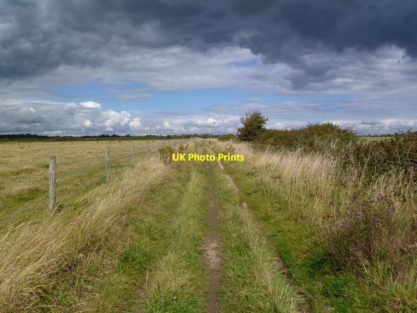 Photo 6"x4" Pennington, Iley Lane Lower Pennington c2011