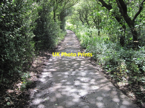 Photo 6"x4" Plains Lane, Elland, Halifax Elland c2011