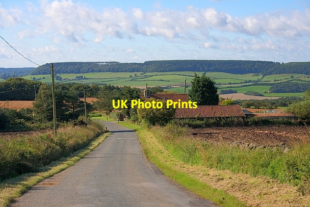Photo 6"x4" Gowland Lane Crowdon c2011