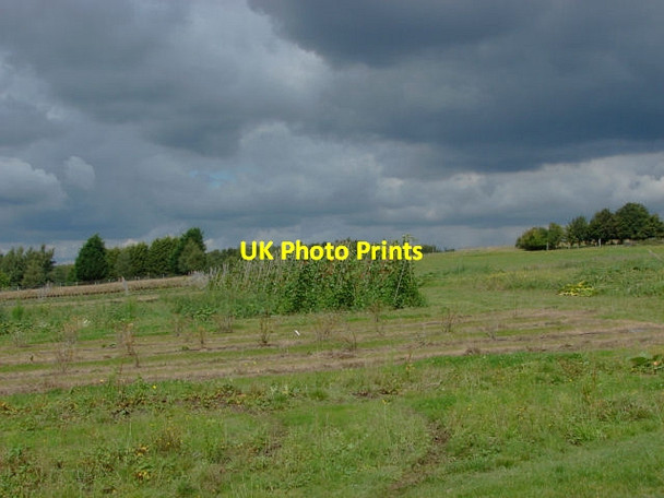 Photo 6"x4" Sutton Green Market garden Prey Heath c2011