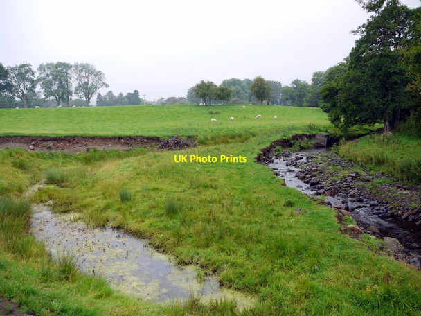 Photo 6"x4" Thornhope Beck Upper Town\/NZ0737 c2011