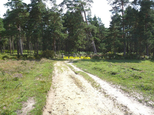 Photo 6"x4" Alderhill Inclosure, gate Ogdens c2011