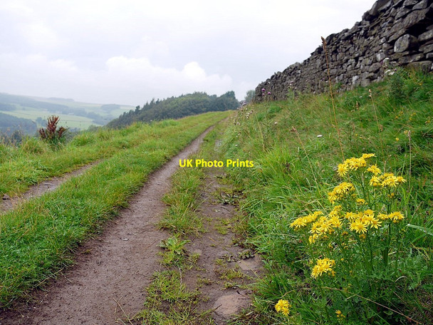 Photo 6"x4" Track south of Backstone Bank Upper Town\/NZ0737 c2011
