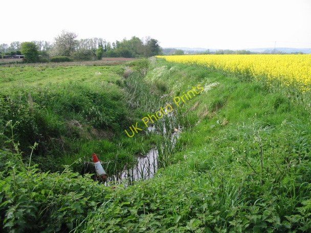 Photo 6"x4" Looking NW along a ditch from corner of Blackwall Road Willesborough Lees c2008