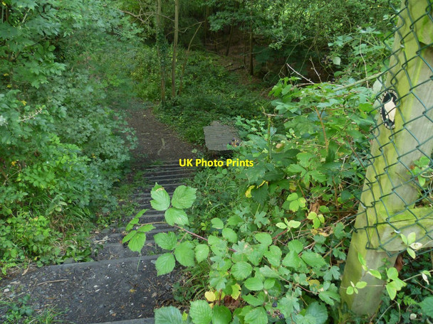 Photo 6"x4" Footpath leading west off the Downs Link Cranleigh c2011