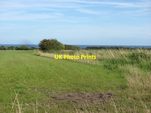 Photo 6"x4" Grassland, Longhoughton Longhoughton c2011